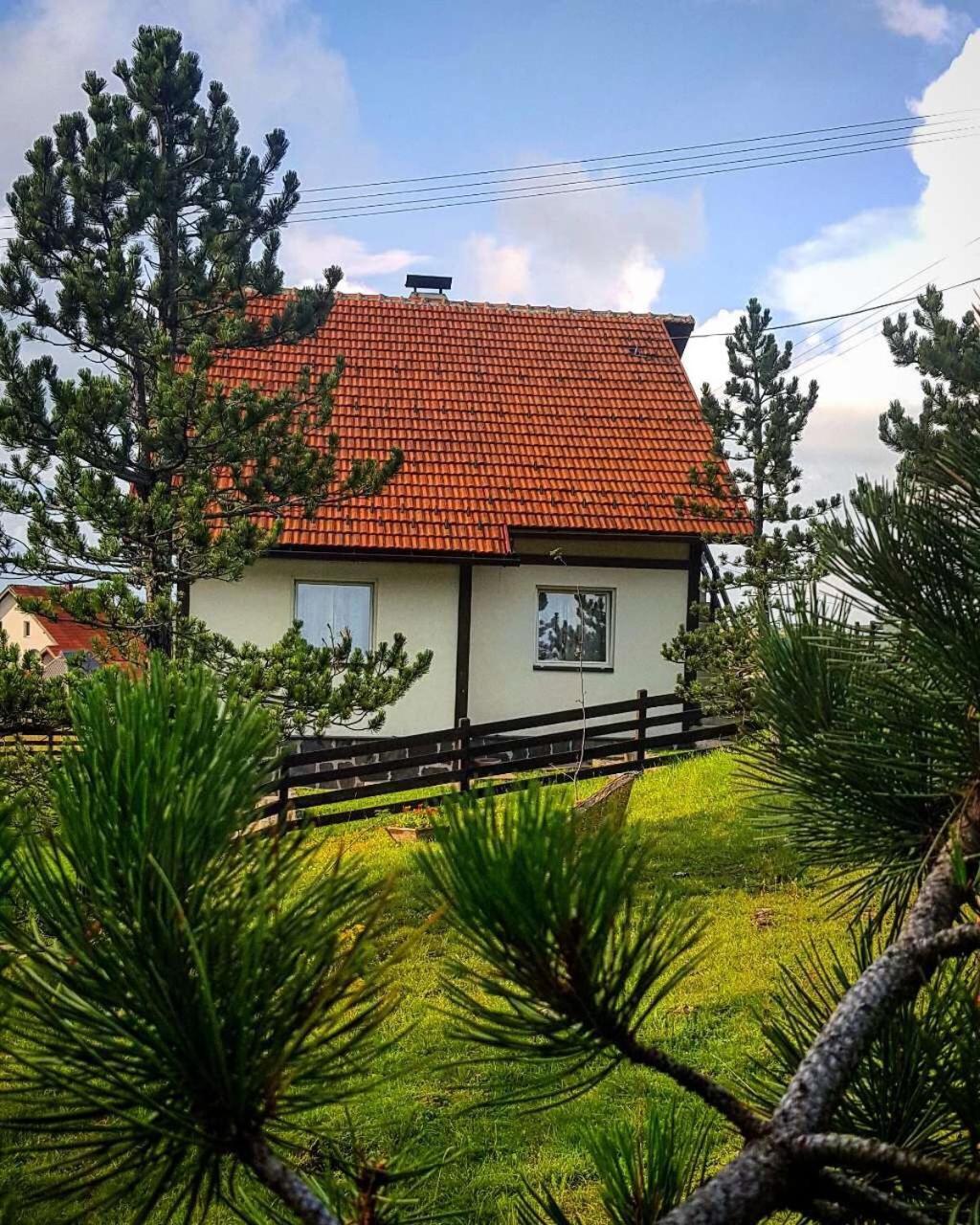 זלאטיבור Vila Jela Tornik מראה חיצוני תמונה